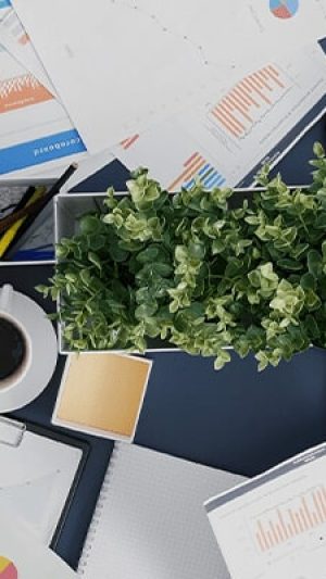 blog6-min
